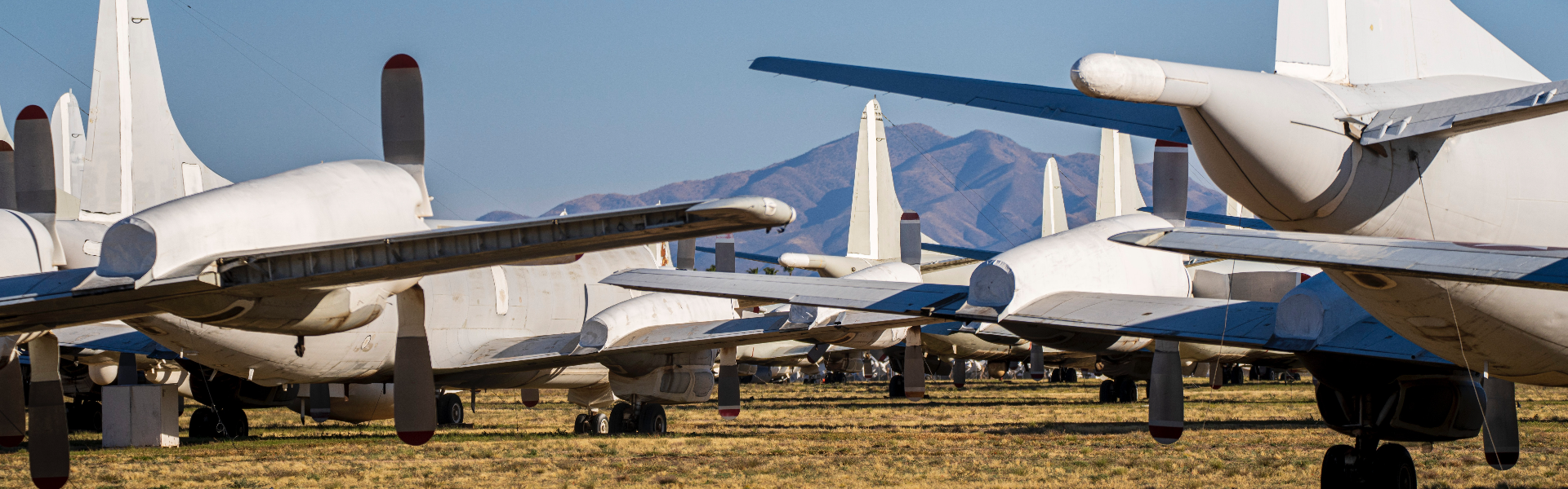 zoty中欧体育官方网站仪器