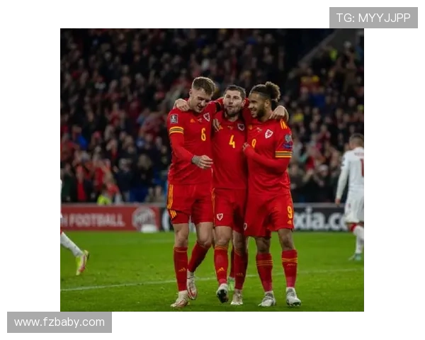 威尔士防守稳固