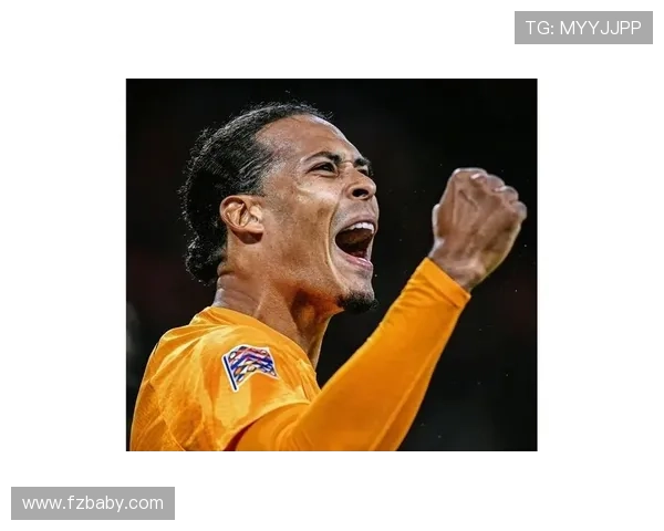 范戴克：荷兰国家队队长与防线核心角色解析